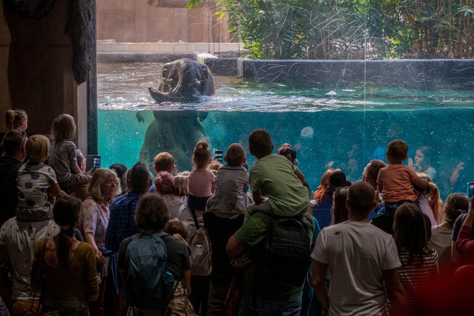 Orientarium Zoo Łódź