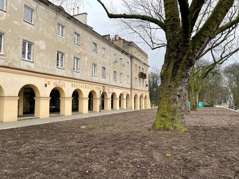 Stary Rynek po remoncie - trawniki i stare drzewa