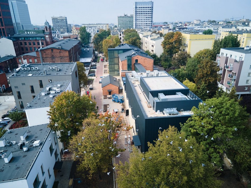 fot. Radosław Jóźwiak