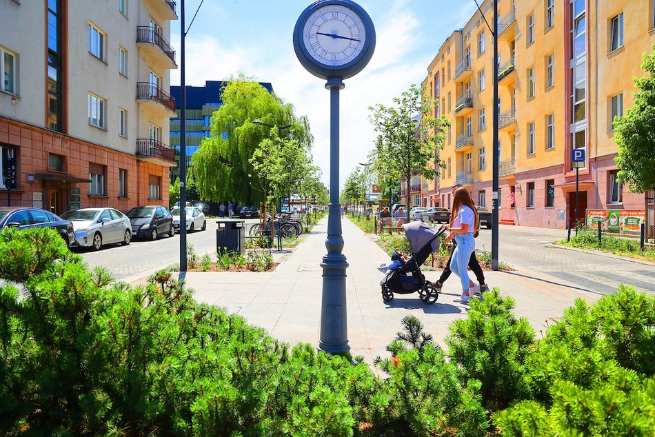 Łódź. Knychalskiego w Łodzi cała w zieleni! Nowe drzewa, kwiaty i rabaty