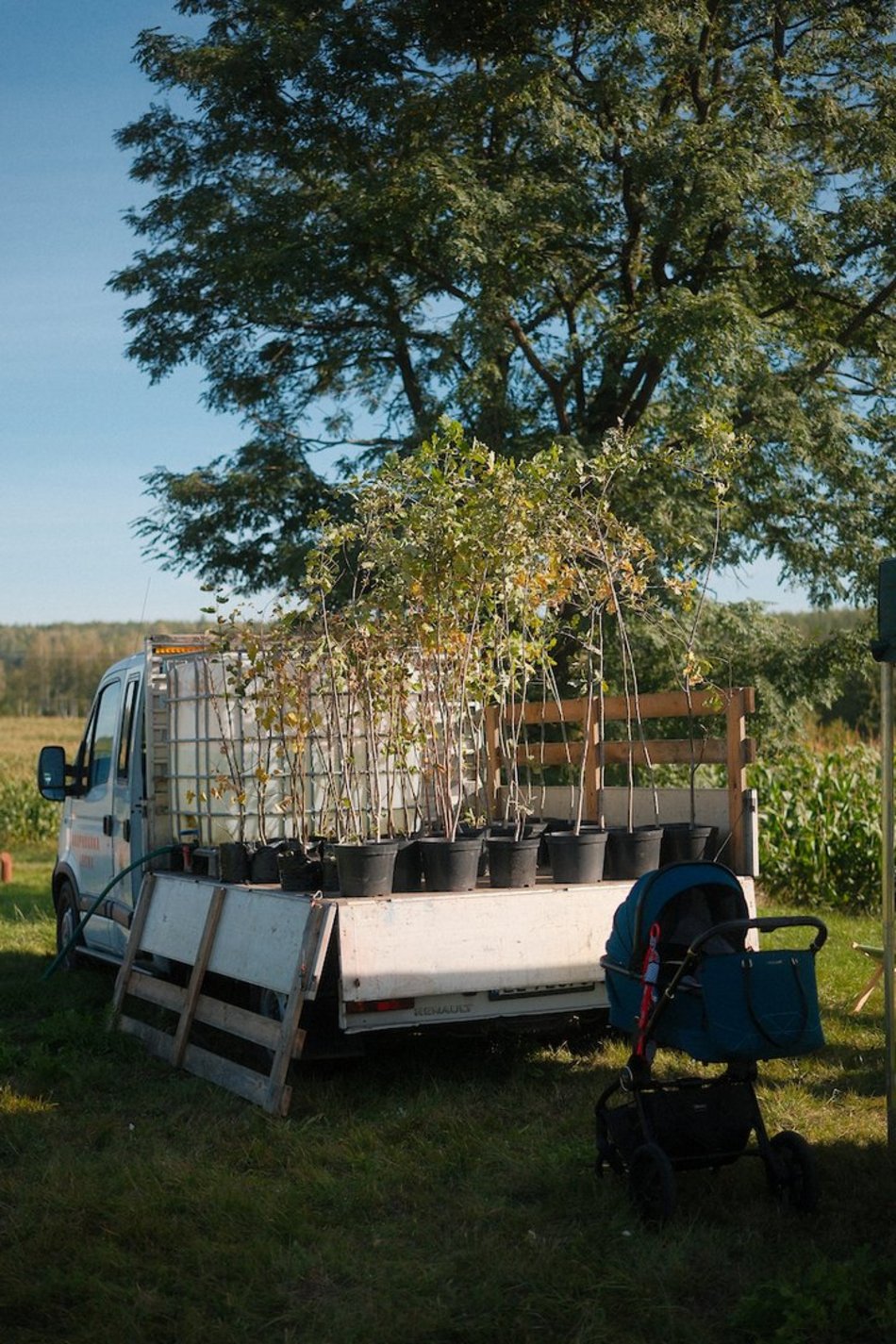 Las Młodej Łodzi powiększył się! Nowe dęby i lipy na pamiątkę narodzin dziecka