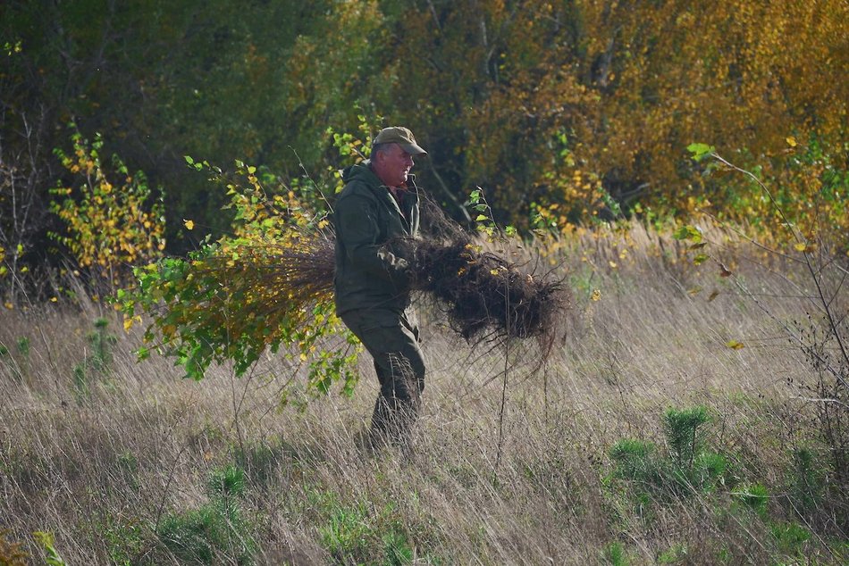 Łódź. Przybędzie aż 15 tysięcy nowych drzew