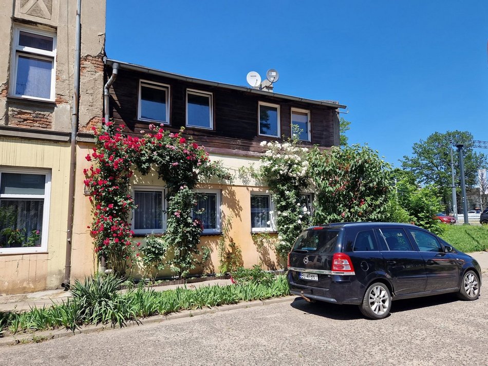 Najbardziej ukwiecony domek w Łodzi? Róże pokrywają niemal całą elewację