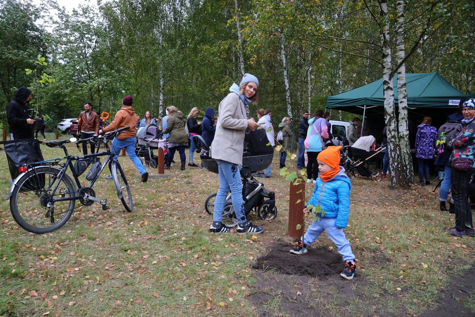 Rozrasta się Las Młodej Łodzi. Sadzenie drzew