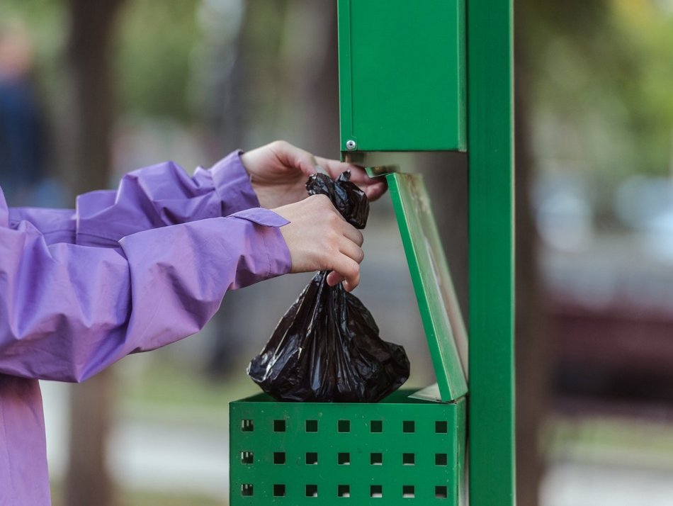 Łódź. Kosze na psie odchody