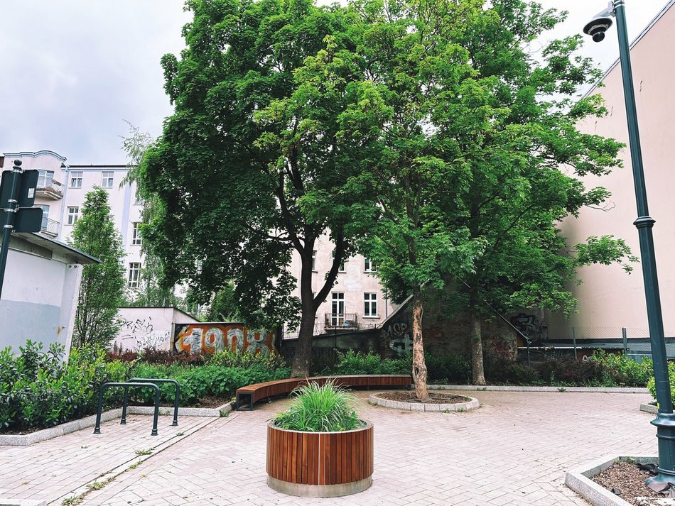 Łódź, ul. Legionów, ławka, zieleniec