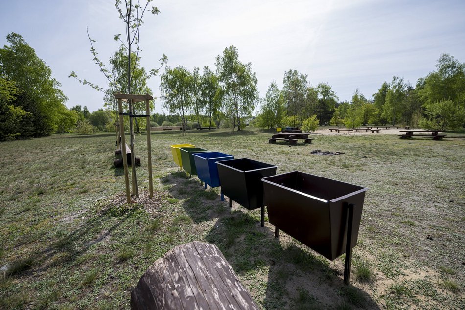 Łódź. Lublinek w Łodzi zmienia się nie do poznania. Właśnie powstało tam miejsce piknikowe