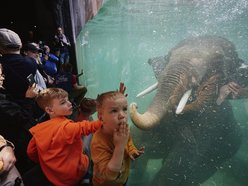 Łódź. Wakacyjne półkolonie w Orientarium Zoo Łódź i Aquaparku Fala w Łodzi. Tyle atrakcji, że głowa mała!