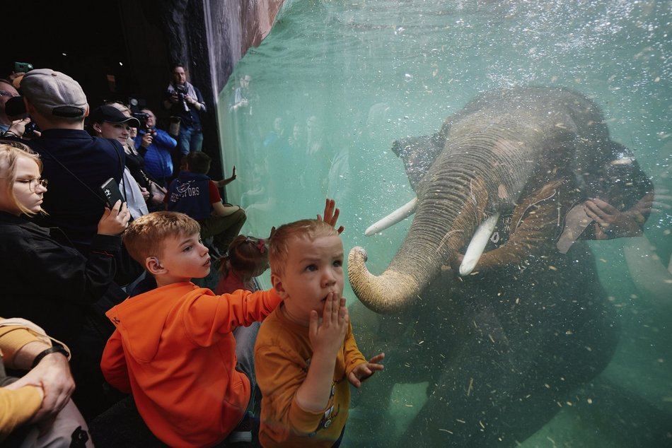 Łódź. Wakacyjne półkolonie w Orientarium Zoo Łódź i Aquaparku Fala w Łodzi. Tyle atrakcji, że głowa mała!