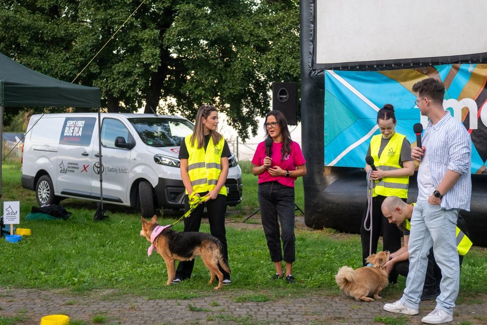 Łódź. Ostatni Psia Polówka w Łodzi za nami. Nic słodszego dziś nie zobaczysz!