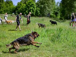 Łódź. Psiejski spacer na Uroczysku Lublinek w Łodzi. Kolejna odsłona wyjątkowej inicjatywy