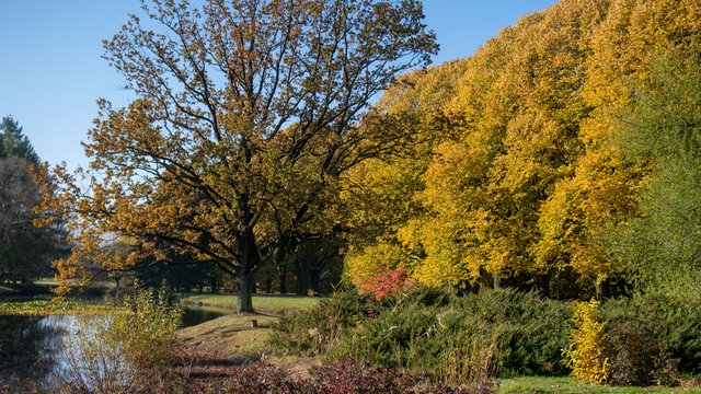 Ogród Botaniczny w Łodzi szykuje się na sezon zimowy. Ostatni moment na odwiedziny!