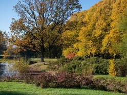 Ogród Botaniczny w Łodzi zamyka się na zimę