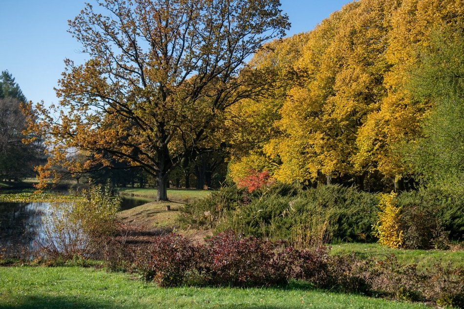 Ogród Botaniczny w Łodzi zamyka się na zimę