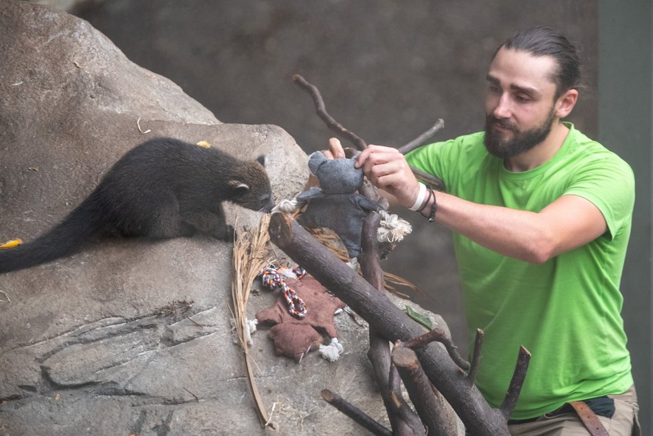 фото Paweł Łacheta