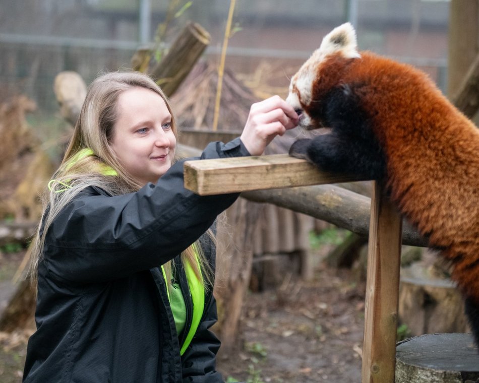 Opiekunka zwierząt z Orientarium Zoo Łódź