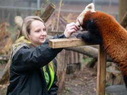 Opiekunka zwierząt z Orientarium Zoo Łódź