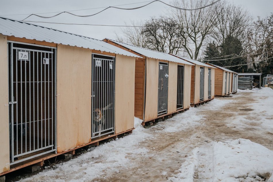 Łódź. Wielka metamorfoza schroniska w Łodzi