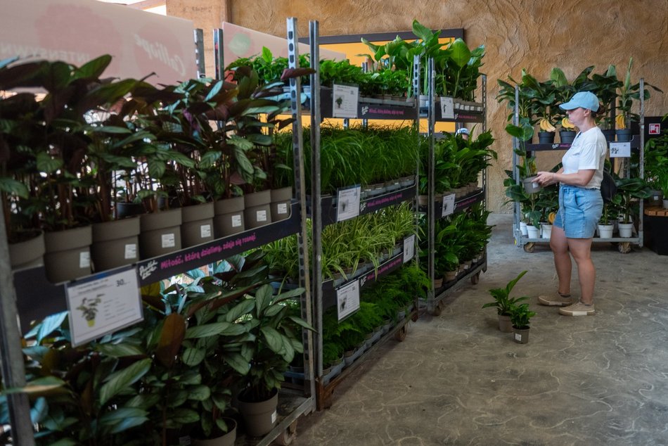 Łódź. Zielona Feta w Orientarium Zoo Łódź. Moc atrakcji na długi weekend