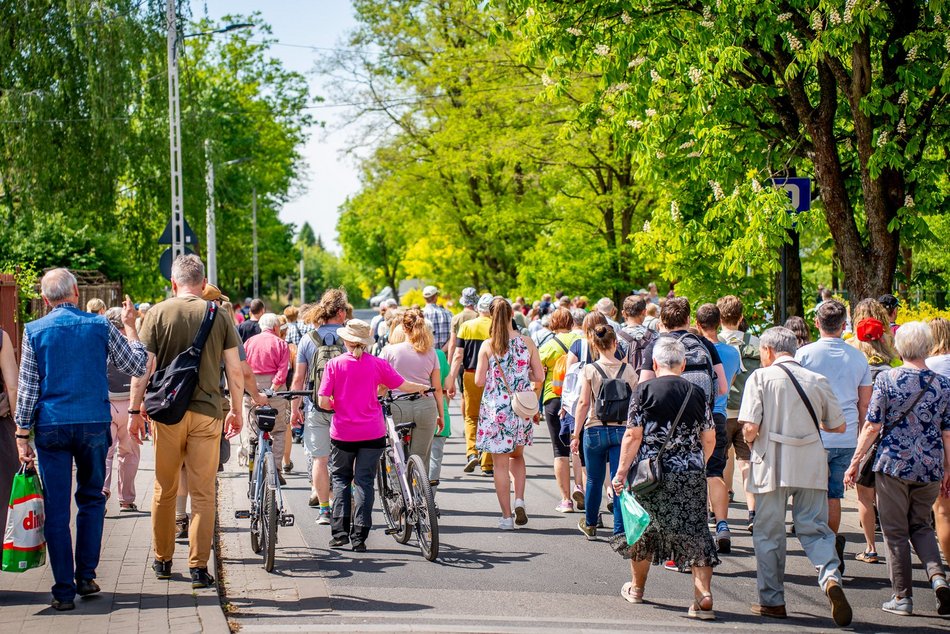 grupa ludzi spaceruje w naturze
