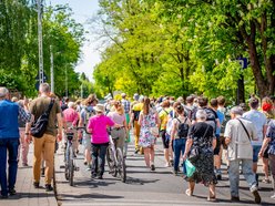 grupa ludzi spaceruje w naturze
