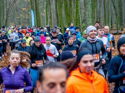Cookie Run w Lesie Łagiewnickim w Łodzi