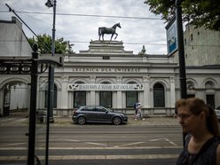 Łódź. „Lecznica pod koniem" na sprzedaż!