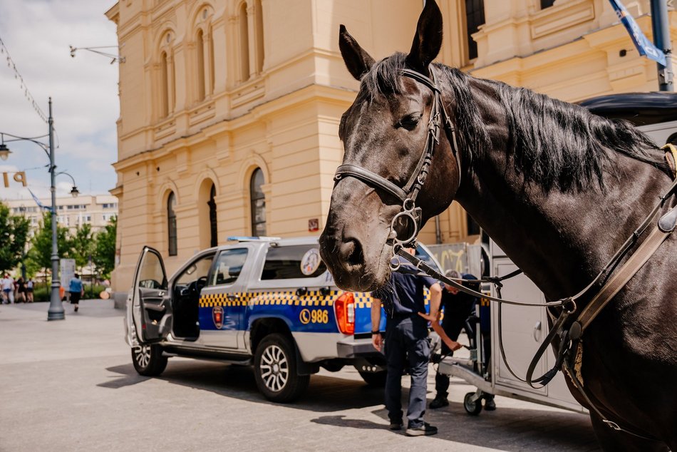 Nowy nabytek Straży Miejskiej w Łodzi. To specjalnie wyposażony wóz!