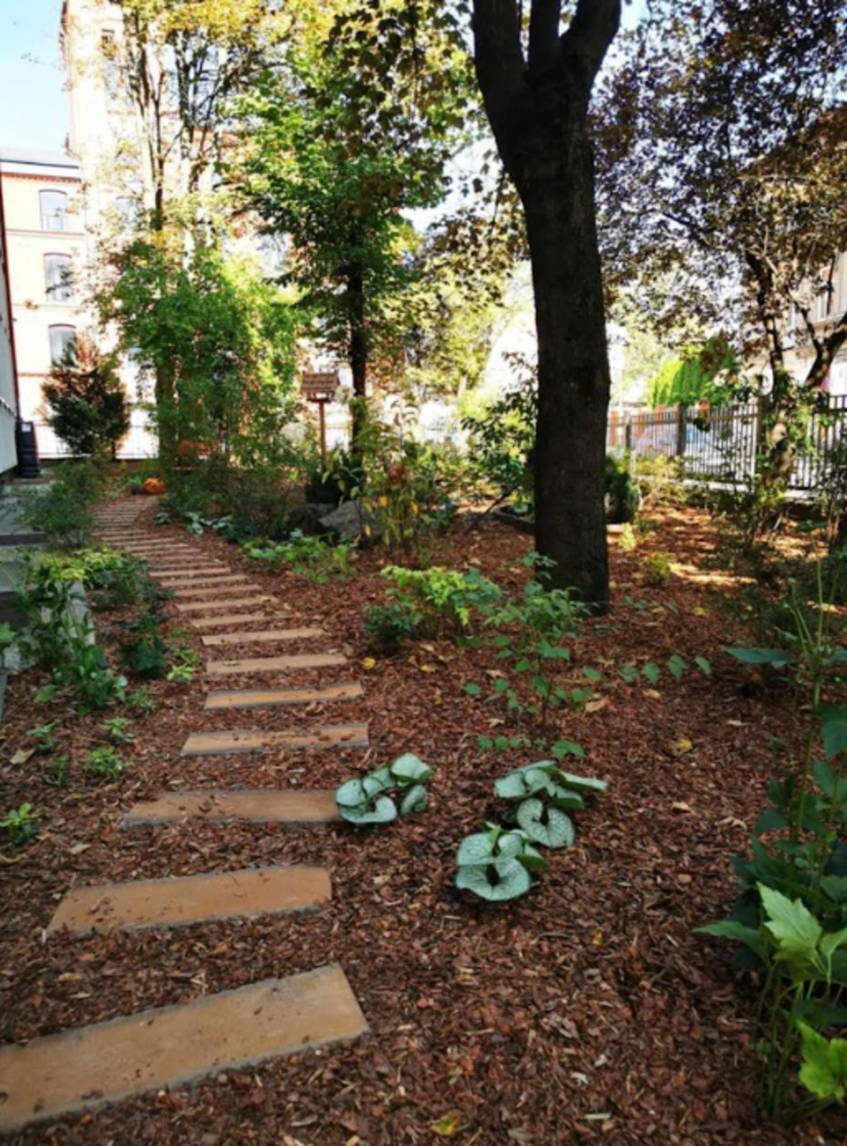 Łódź. Szkoły w Łodzi z ekograntami. Sprawdź, na co zostaną przeznaczone środki!