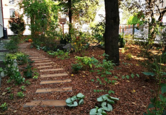 Łódź. Szkoły w Łodzi z ekograntami. Sprawdź, na co zostaną przeznaczone środki!