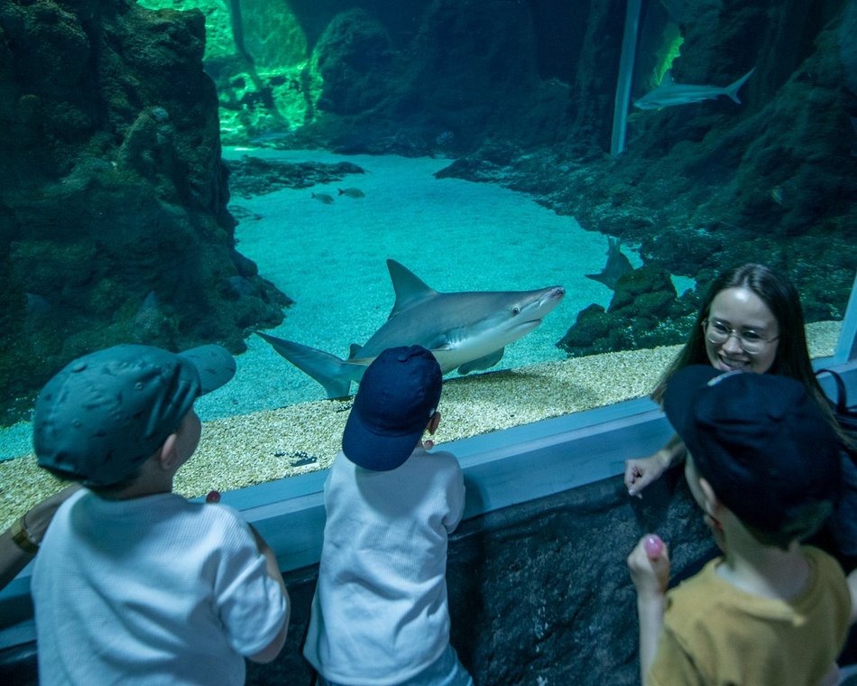 Łódź. Dzień Dziecka w Orientarium Zoo Łódź. Tylu atrakcji tam jeszcze nie było!