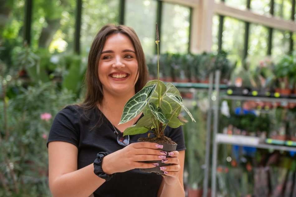 Pierwsze Targi roślin egzotycznych w Orientarium Zoo Łódź. Ale okazy!