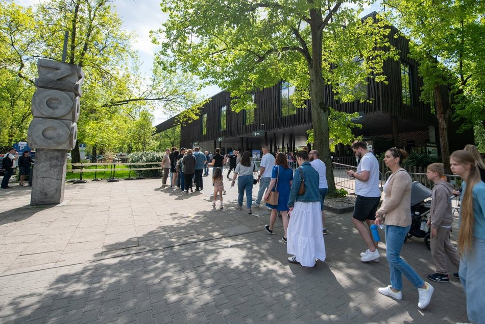 Łódź. Złap słońce i witaminę D w Orientarium Zoo Łódź. Wiosenny weekend z masą atrakcji
