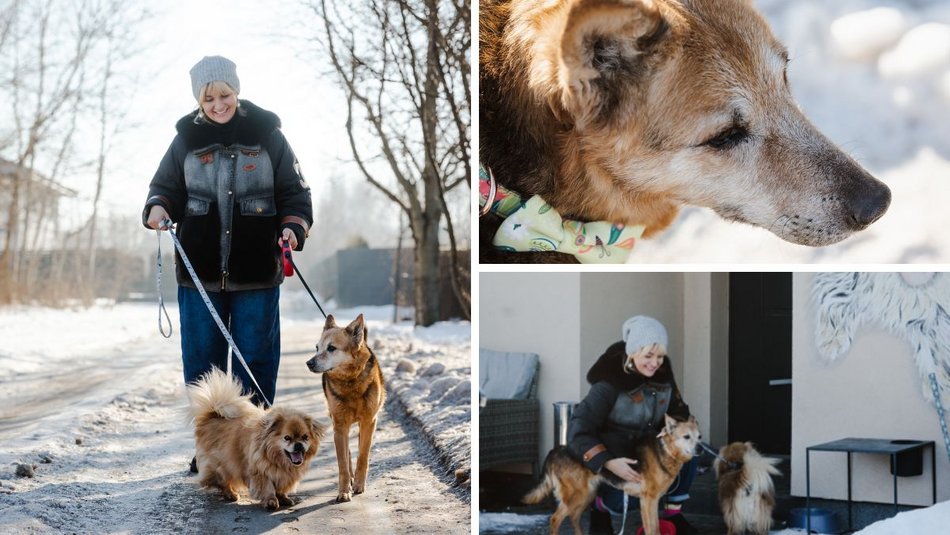 Łódź. Pani Iza i psy adoptowane ze schroniska w Łodzi