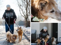 Łódź. Pani Iza i psy adoptowane ze schroniska w Łodzi