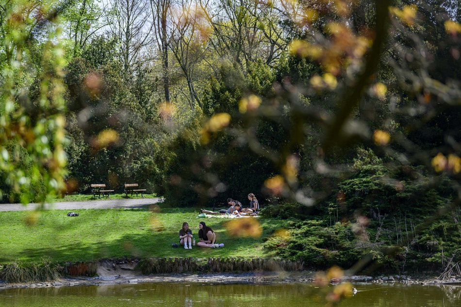 Park Poniatowskiego w Łodzi zachwyca soczystą zielenią. Zdecydujesz się na spacer?