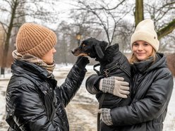 Psiak Bond czekał na dom w schronisku w Łodzi 8 lat