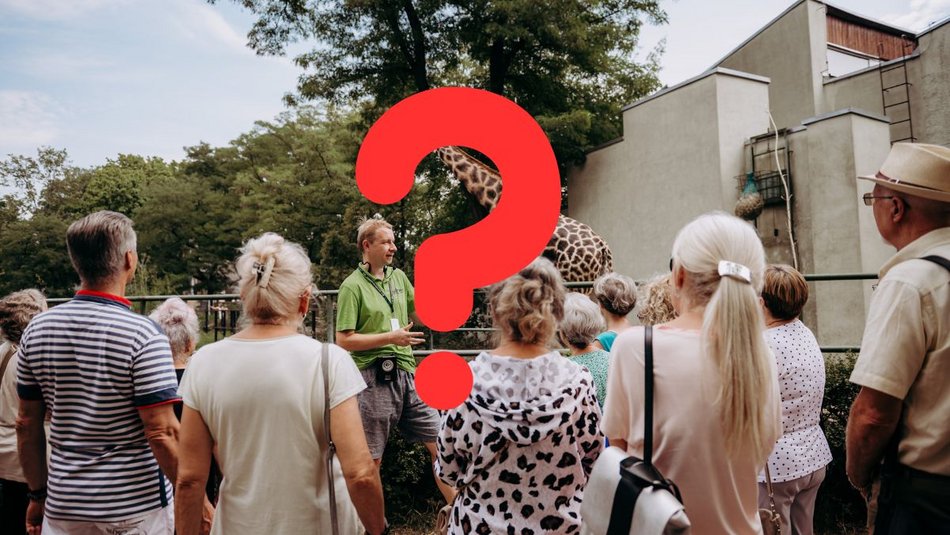 Łódź. Nowa żyrafa w Orientarium Zoo Łódź. Musisz ją poznać!