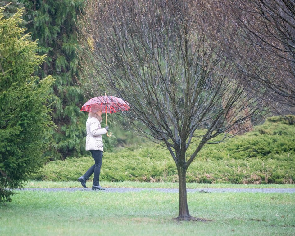 Ogród Botaniczny w Łodzi