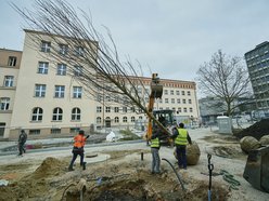 Pasaż Schillera będzie zielony!