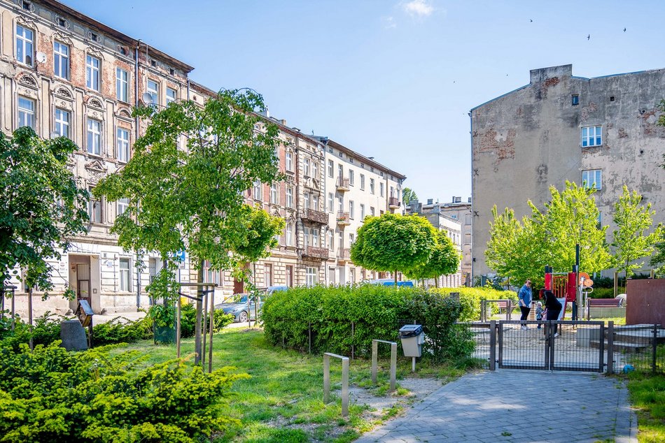 Łódź. Mieszkania, remonty i park przy Lipowej