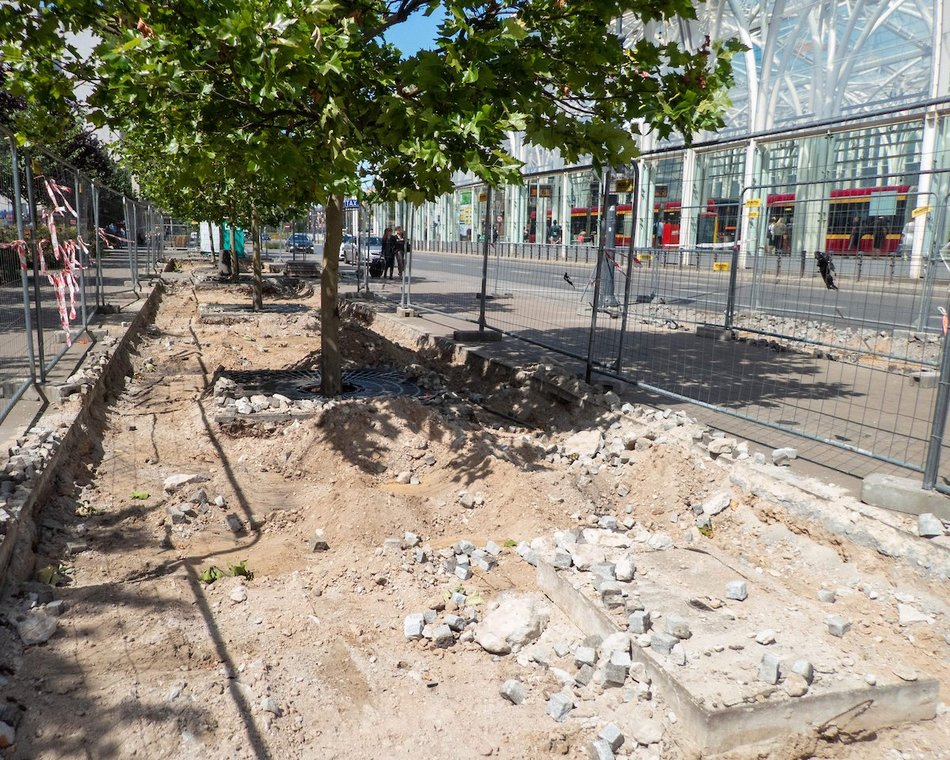 Łódź. Stajnia Jednorożców w Łodzi cała w zieleni! Zamiast betonu będą drzewa i barwne rabaty!