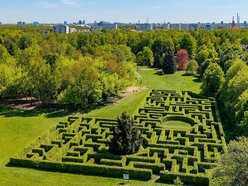 Łódź. Jak ma się rozwijać Ogród Botaniczny w Łodzi? Poznaj harmonogram konsultacji