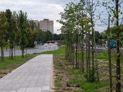 Łódź. Nowe chodniki na Widzewie. Tego chcieli mieszkańcy w Budżecie Obywatelskim