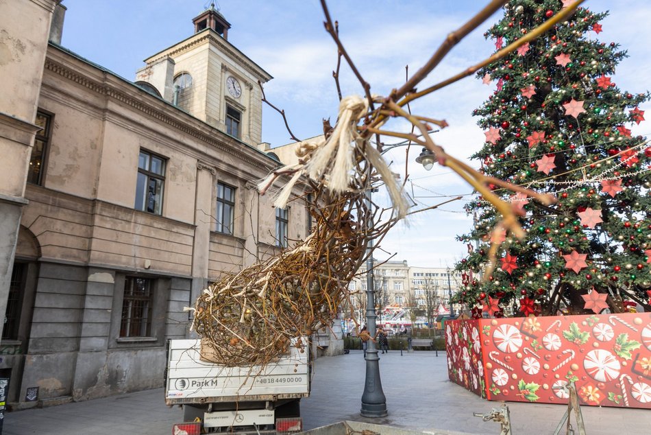 Łódź. Nowe drzewa na Piotrkowskiej w Łodzi. To także zasługa łódzkiego biznesu!