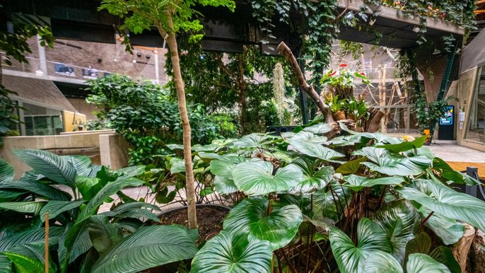 Orientarium Zoo Łódź to nie tylko zwierzęta