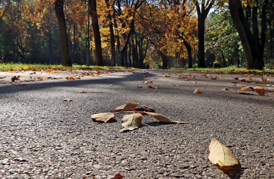 Złota polska jesień w parku na Zdrowiu