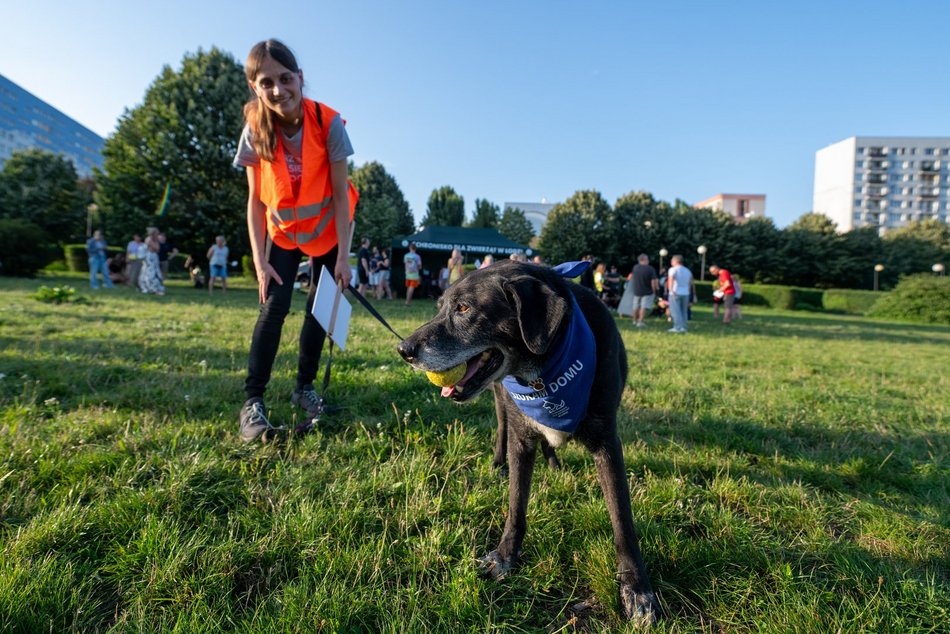 Łódź. Psia Polówka na Widzewskiej Górce. Psiaki przejęły dowodzenie!