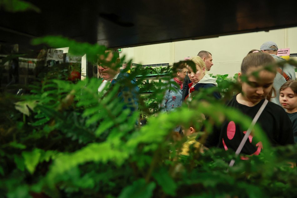 Łódź. Wystartował Festiwal Roślin! Wybierasz się?