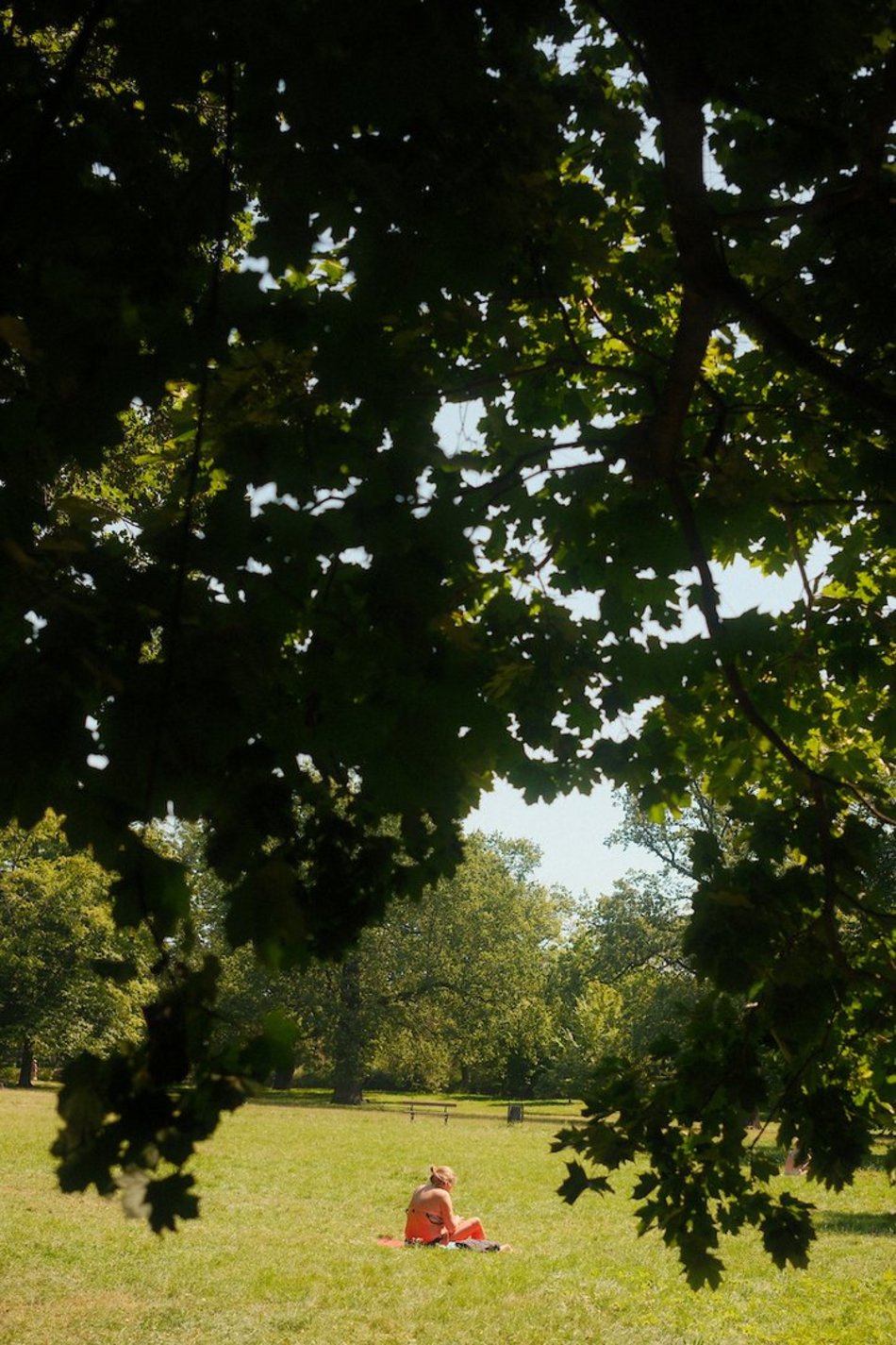 Łódź. Relaks na świeżym powietrzu w Łodzi? Księży Młyn i park Źródliska idealne na długi weekend